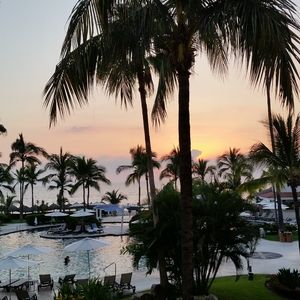 Meet your Posher, Gigi